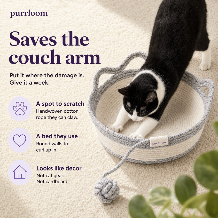 Saves the couch arm: a spot to scratch, a bed they use, looks like decor