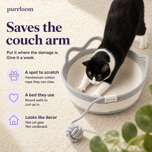 Saves the couch arm: a spot to scratch, a bed they use, looks like decor