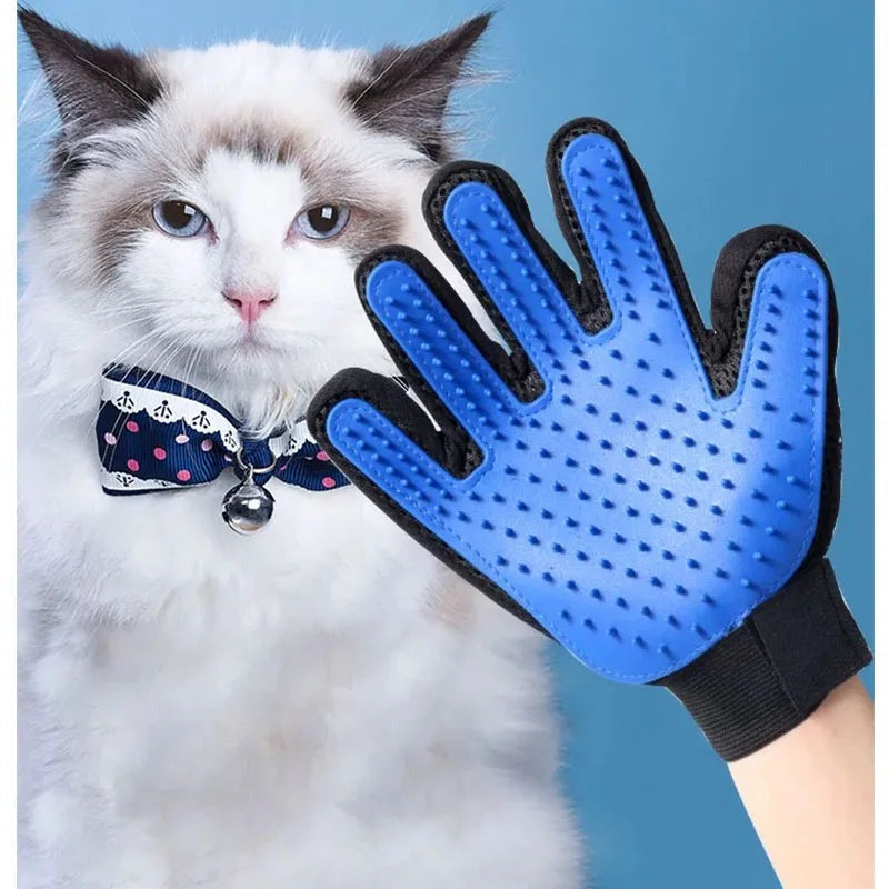 Cat next to a hand wearing a blue deshedding glove