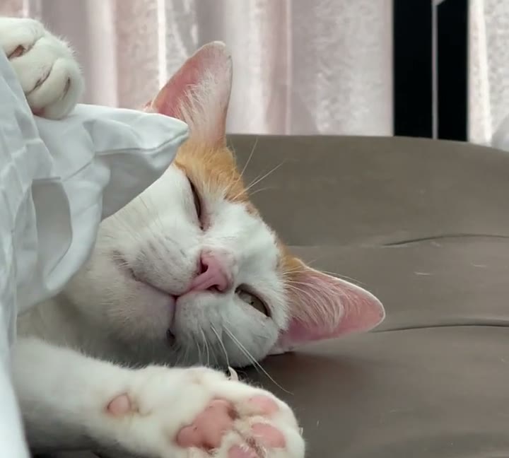 What it does for her claws, and what it won't.