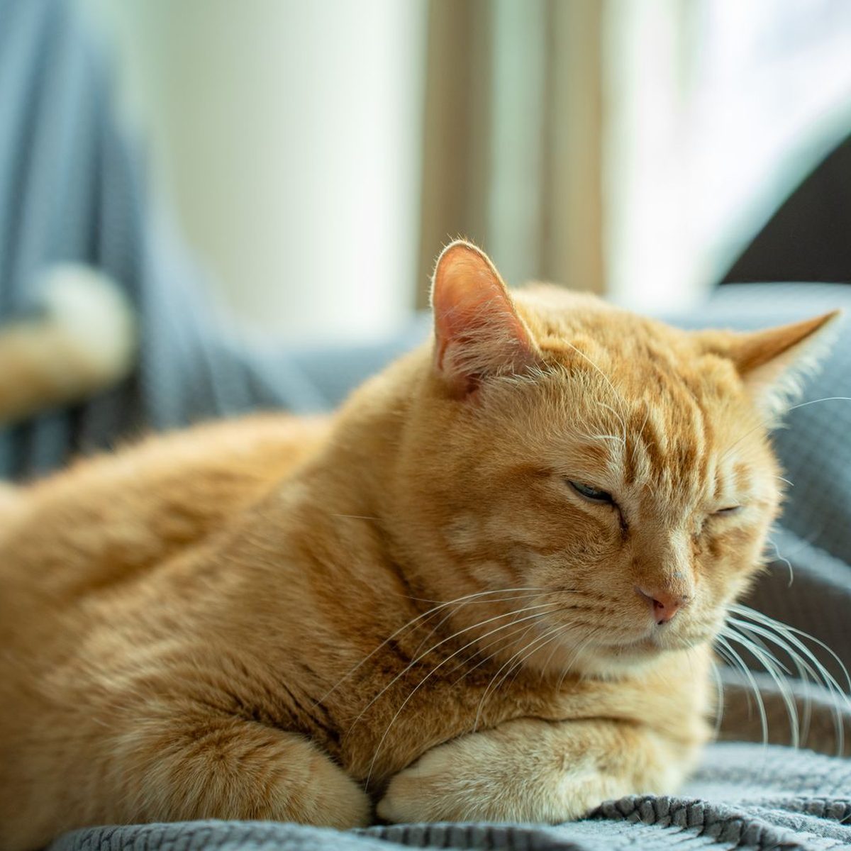 One mat to shake out, not a whole sofa