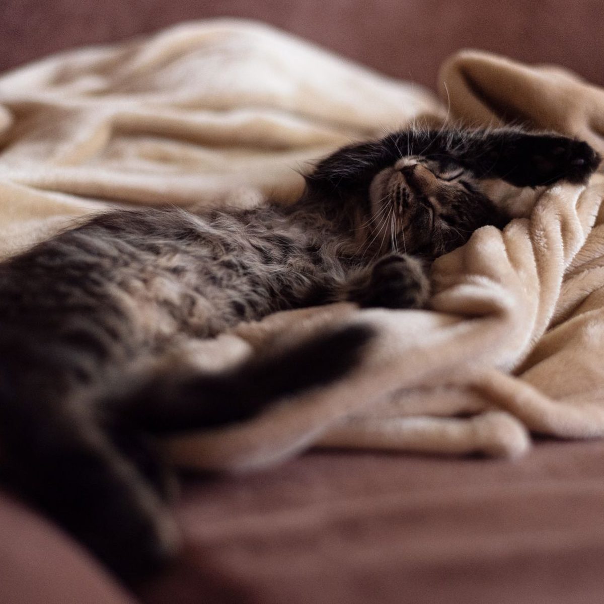 Soft and warm, the way she likes it